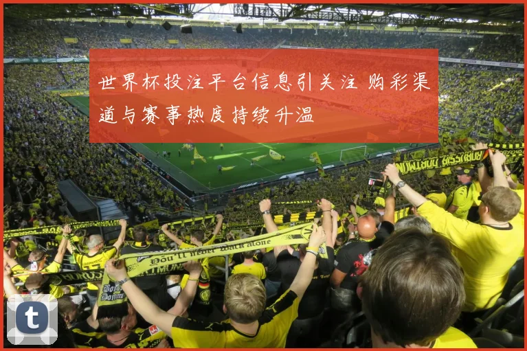 世界杯投注平台信息引关注 购彩渠道与赛事热度持续升温
