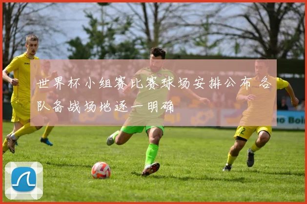 世界杯小组赛比赛球场安排公布 各队备战场地逐一明确
